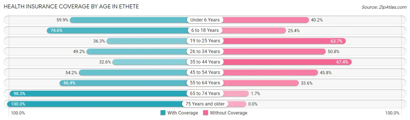 Health Insurance Coverage by Age in Ethete