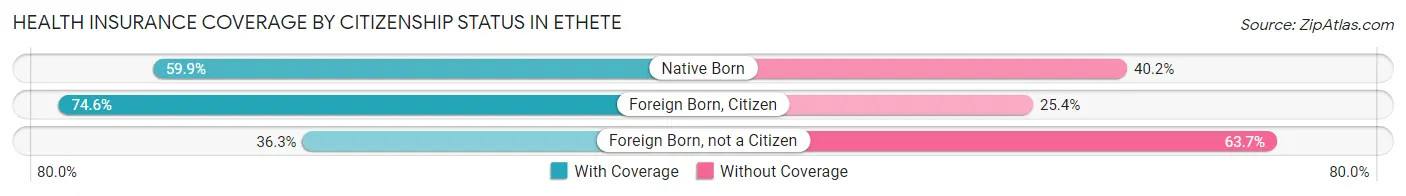 Health Insurance Coverage by Citizenship Status in Ethete