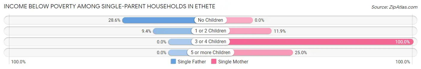 Income Below Poverty Among Single-Parent Households in Ethete