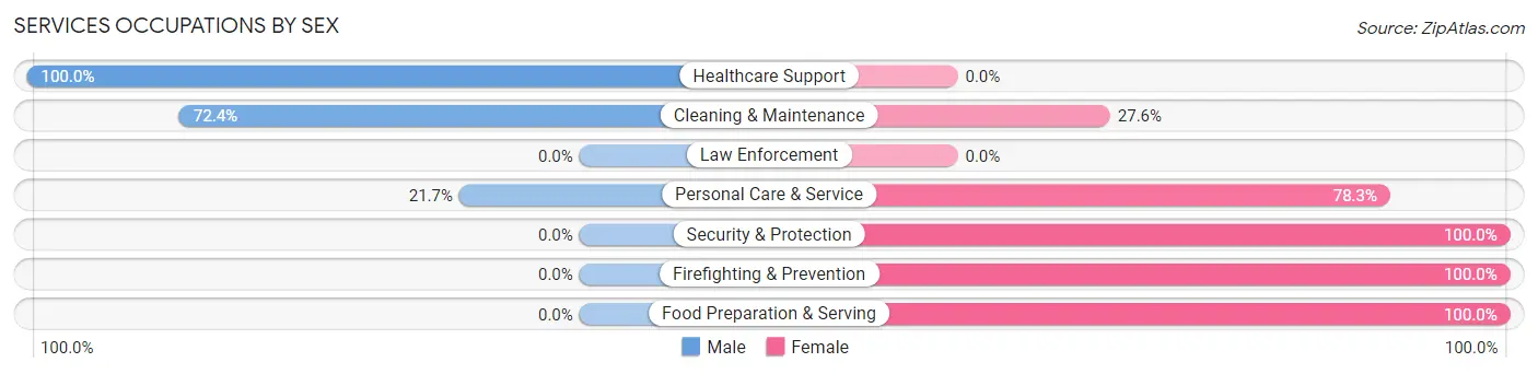 Services Occupations by Sex in Ethete