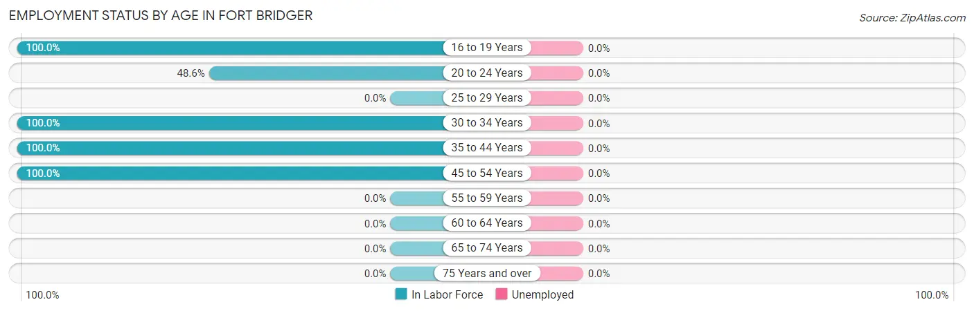 Employment Status by Age in Fort Bridger
