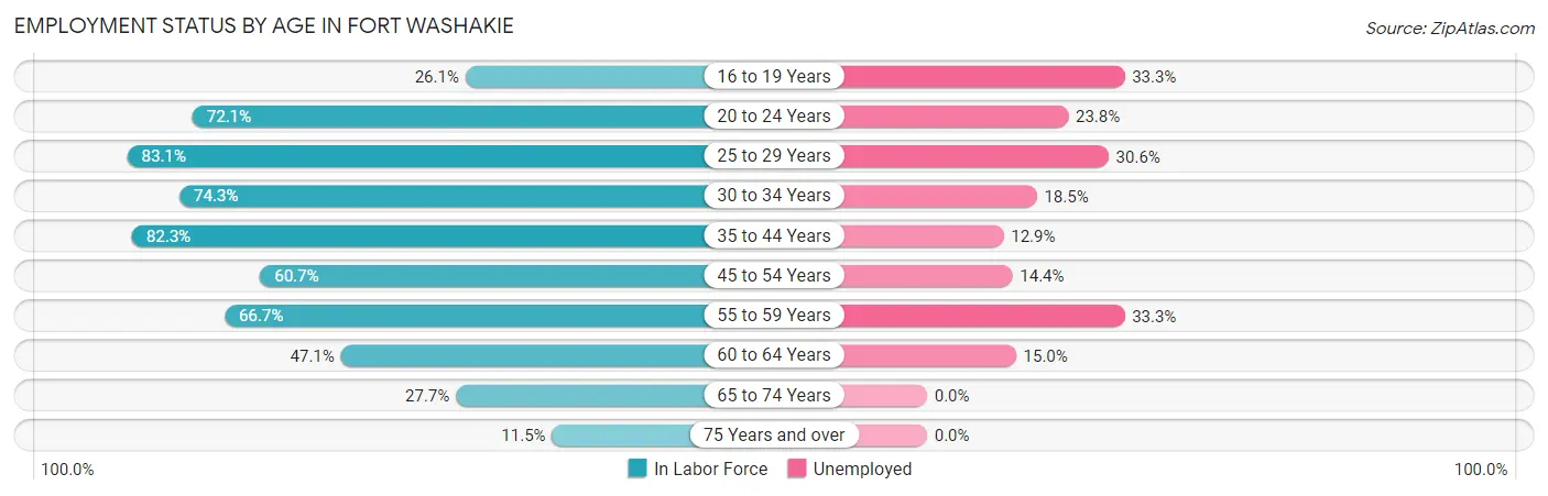 Employment Status by Age in Fort Washakie