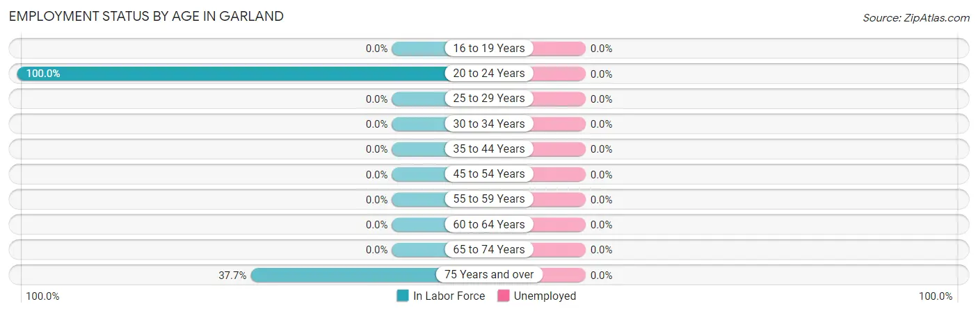 Employment Status by Age in Garland