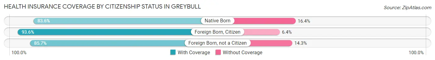 Health Insurance Coverage by Citizenship Status in Greybull