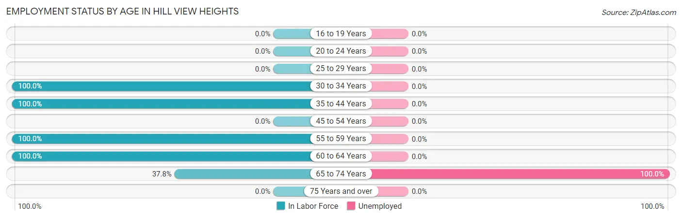 Employment Status by Age in Hill View Heights