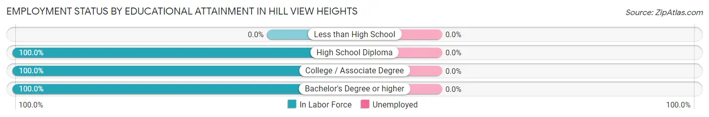 Employment Status by Educational Attainment in Hill View Heights