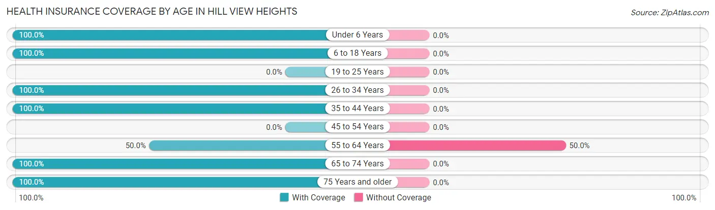 Health Insurance Coverage by Age in Hill View Heights