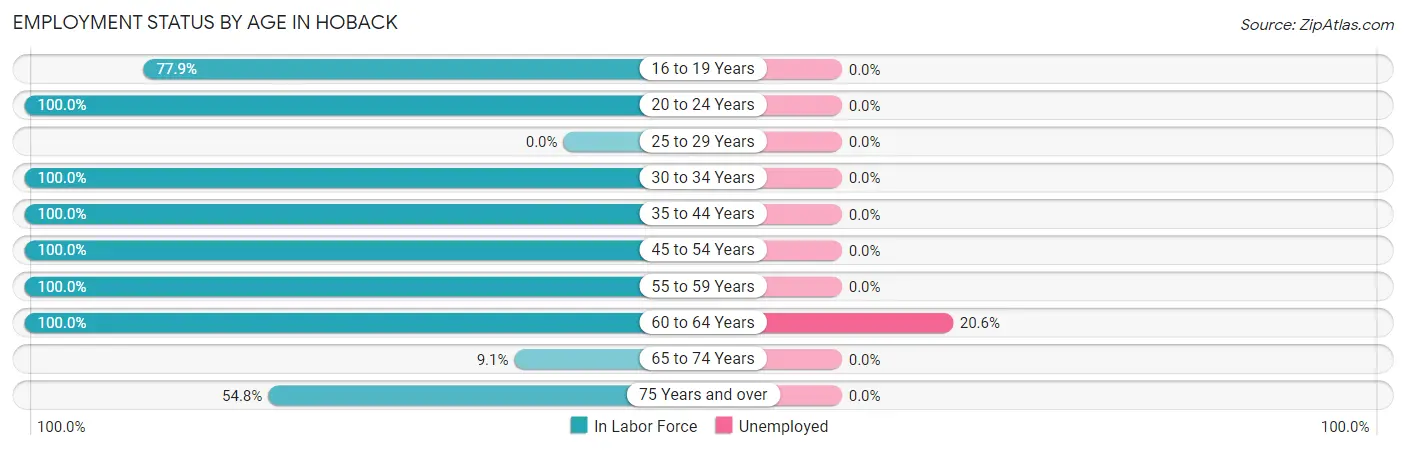 Employment Status by Age in Hoback