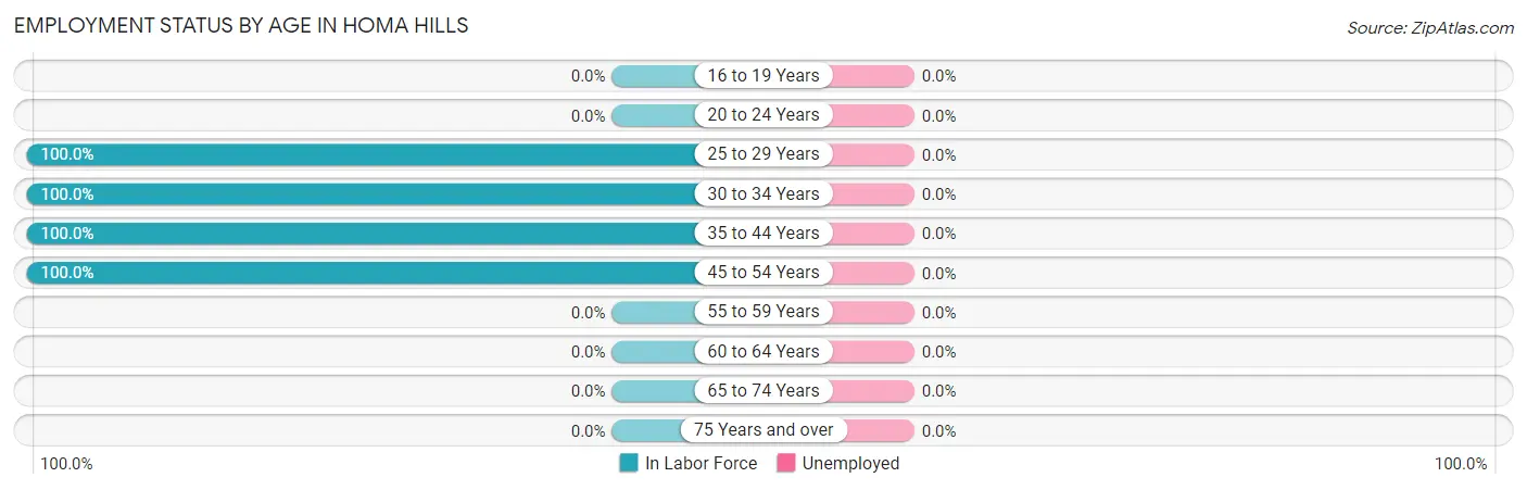 Employment Status by Age in Homa Hills
