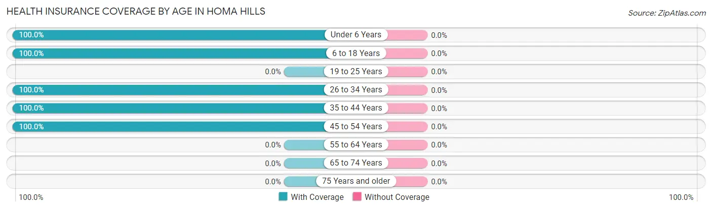 Health Insurance Coverage by Age in Homa Hills