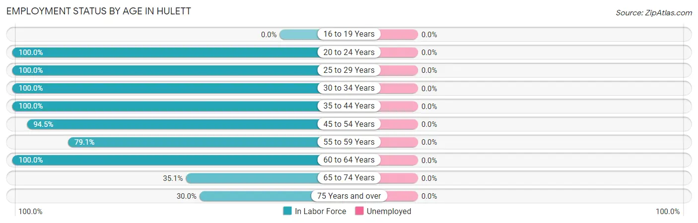 Employment Status by Age in Hulett