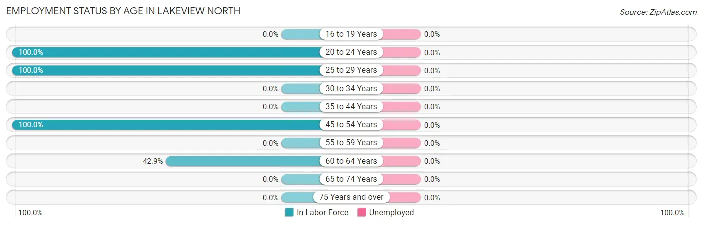 Employment Status by Age in Lakeview North