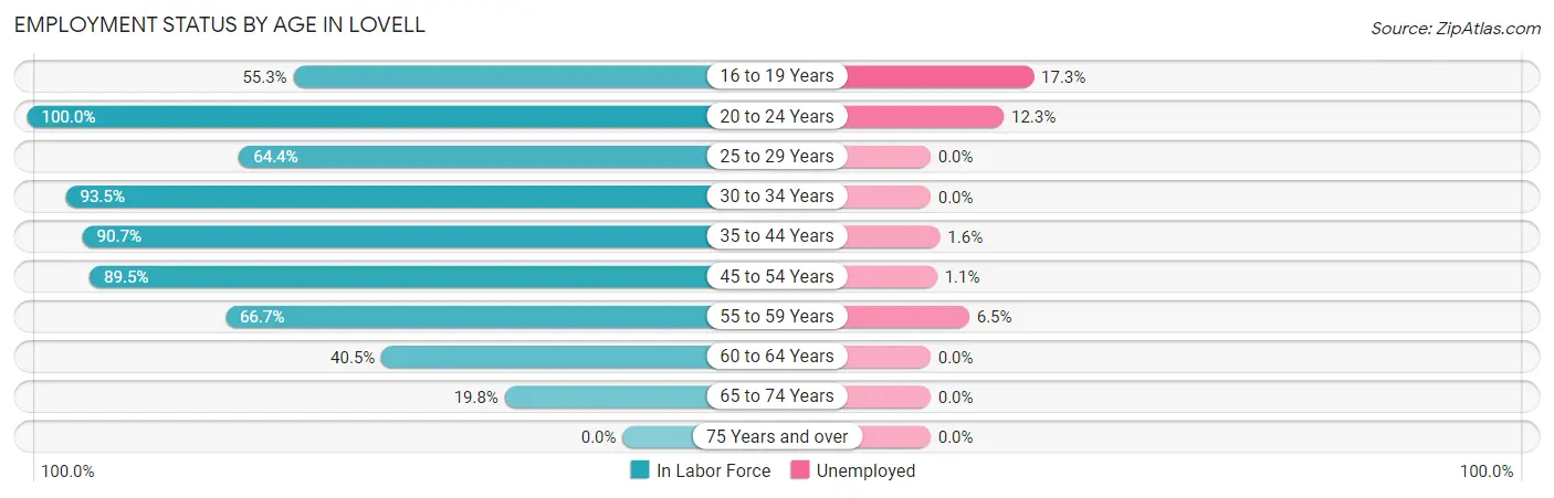 Employment Status by Age in Lovell