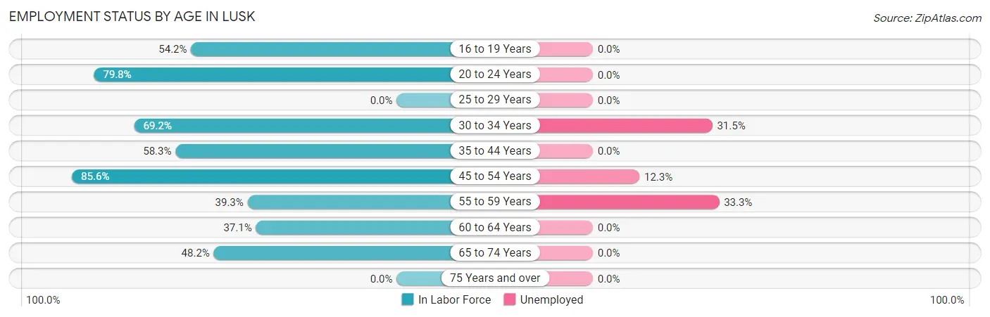Employment Status by Age in Lusk