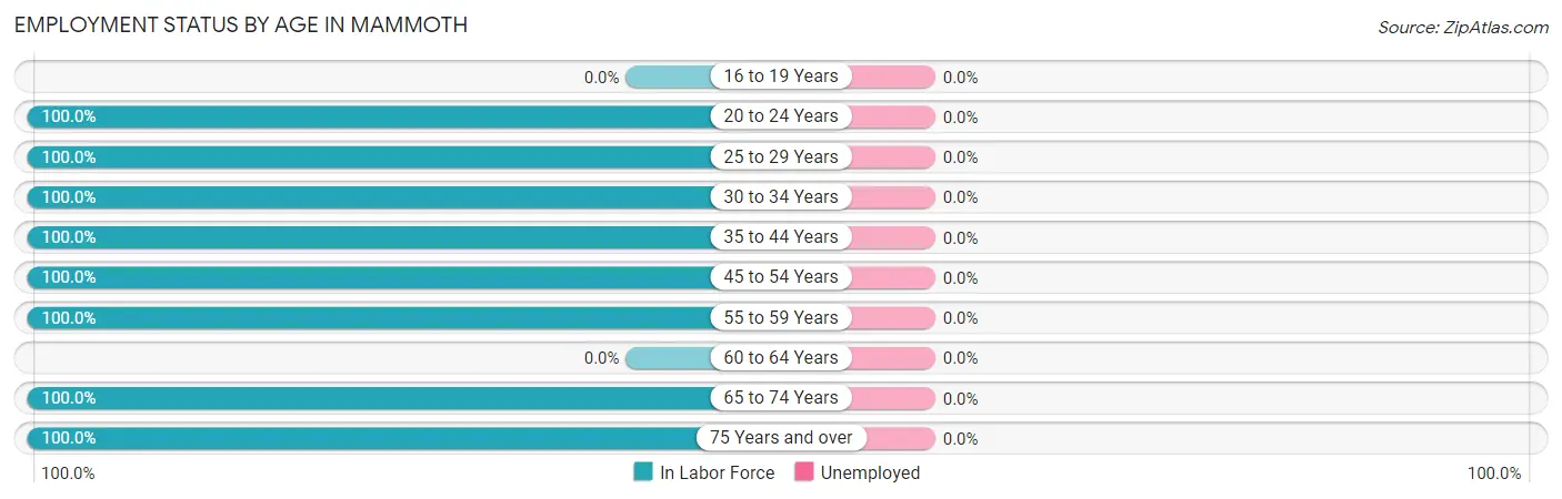Employment Status by Age in Mammoth