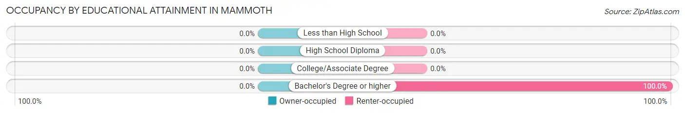 Occupancy by Educational Attainment in Mammoth