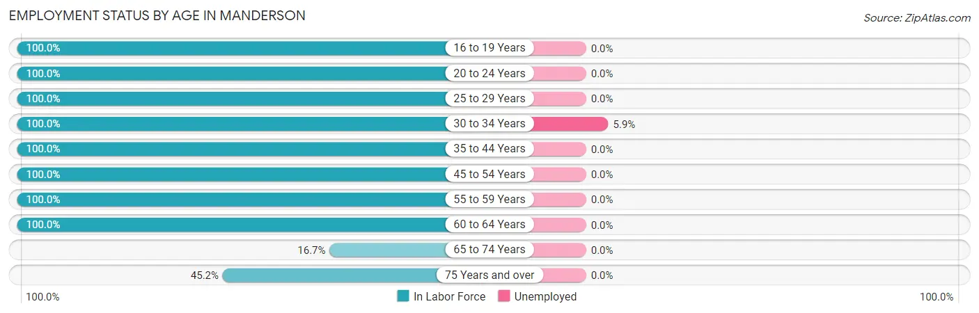 Employment Status by Age in Manderson