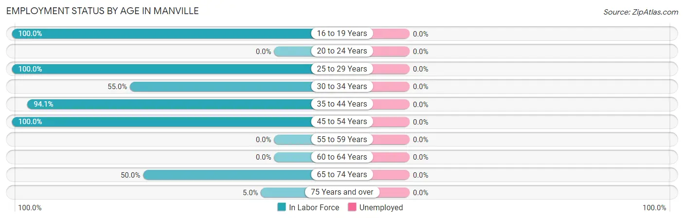Employment Status by Age in Manville