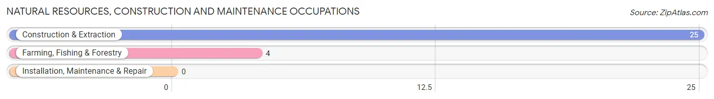 Natural Resources, Construction and Maintenance Occupations in Medicine Bow