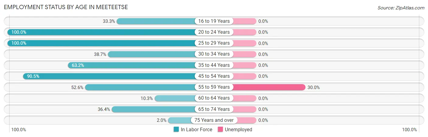Employment Status by Age in Meeteetse