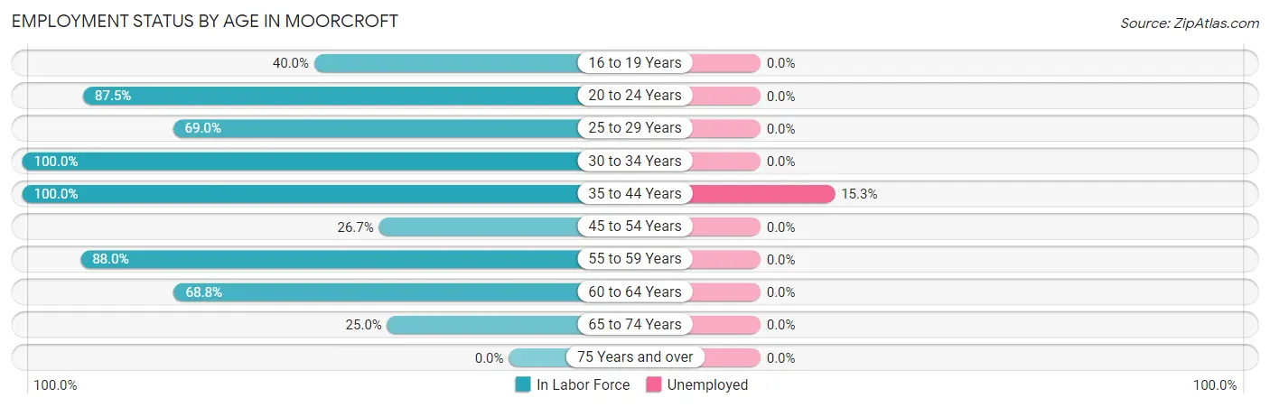 Employment Status by Age in Moorcroft