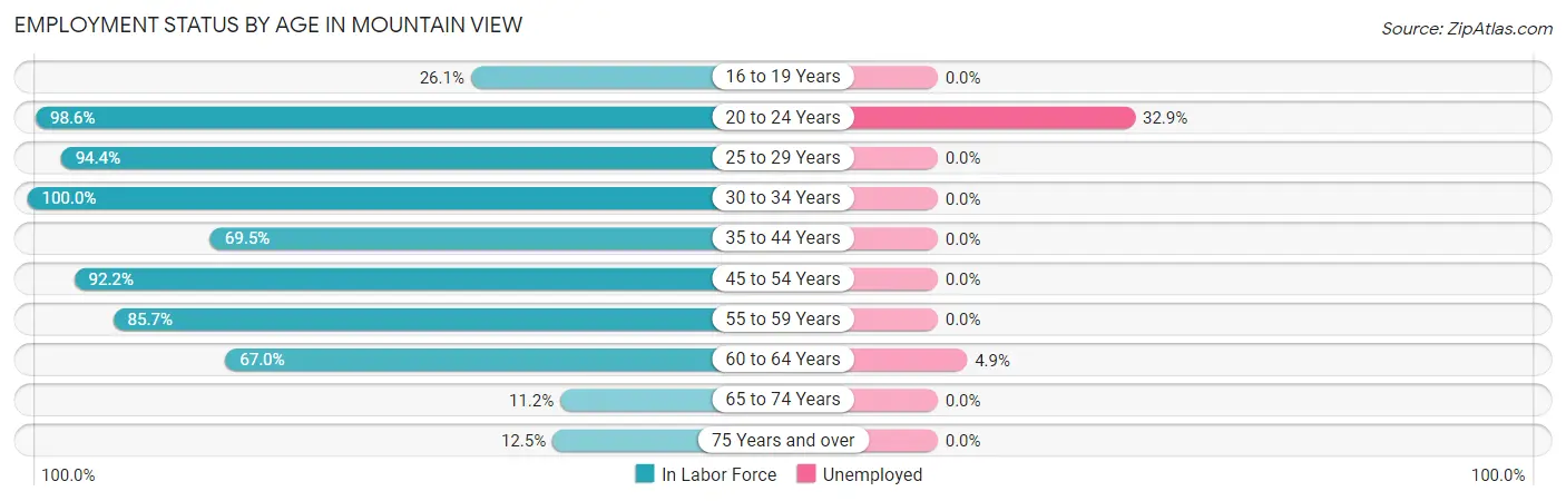 Employment Status by Age in Mountain View