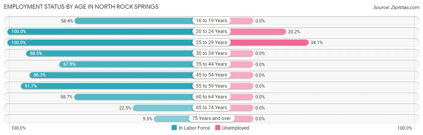 Employment Status by Age in North Rock Springs