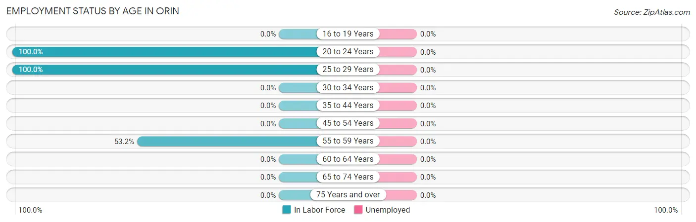 Employment Status by Age in Orin