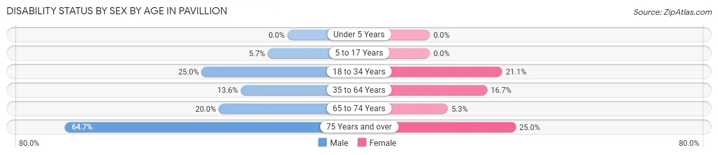 Disability Status by Sex by Age in Pavillion