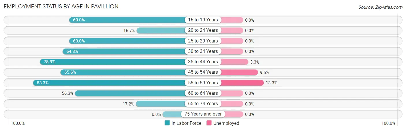 Employment Status by Age in Pavillion