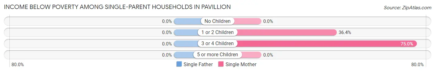Income Below Poverty Among Single-Parent Households in Pavillion