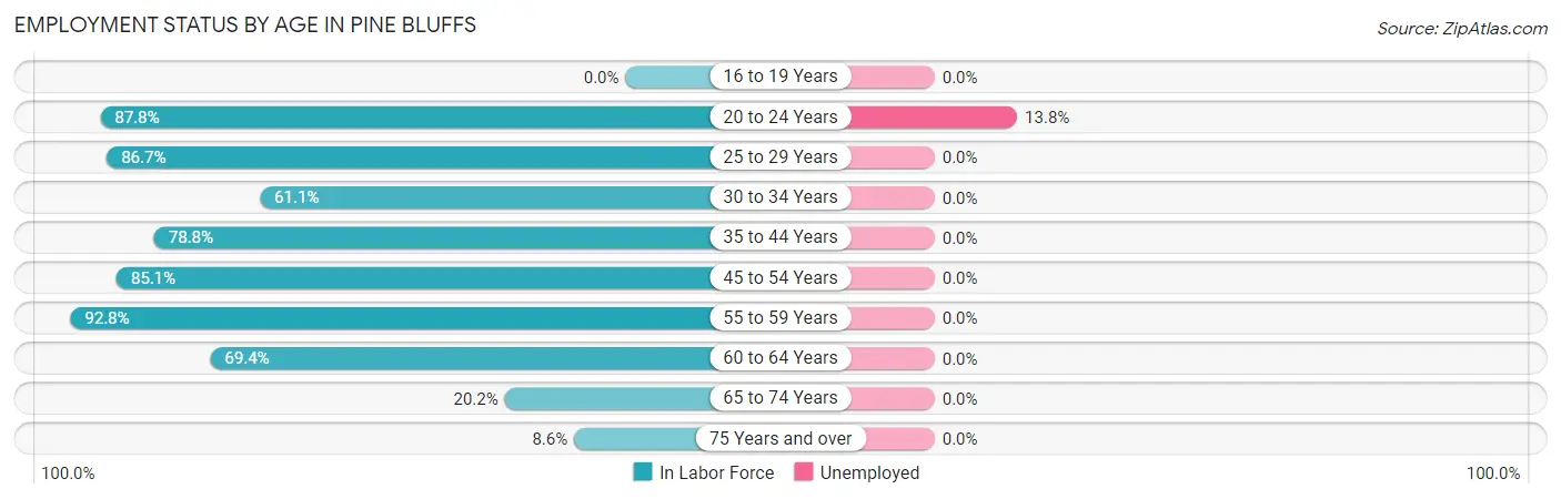 Employment Status by Age in Pine Bluffs