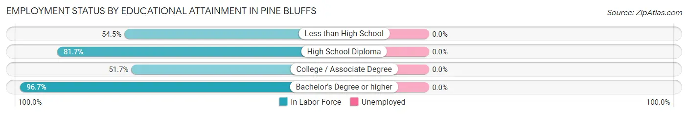 Employment Status by Educational Attainment in Pine Bluffs