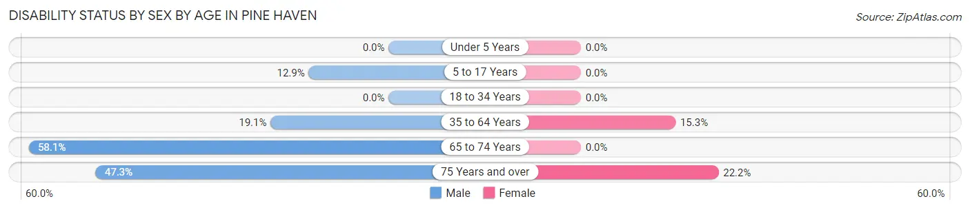 Disability Status by Sex by Age in Pine Haven