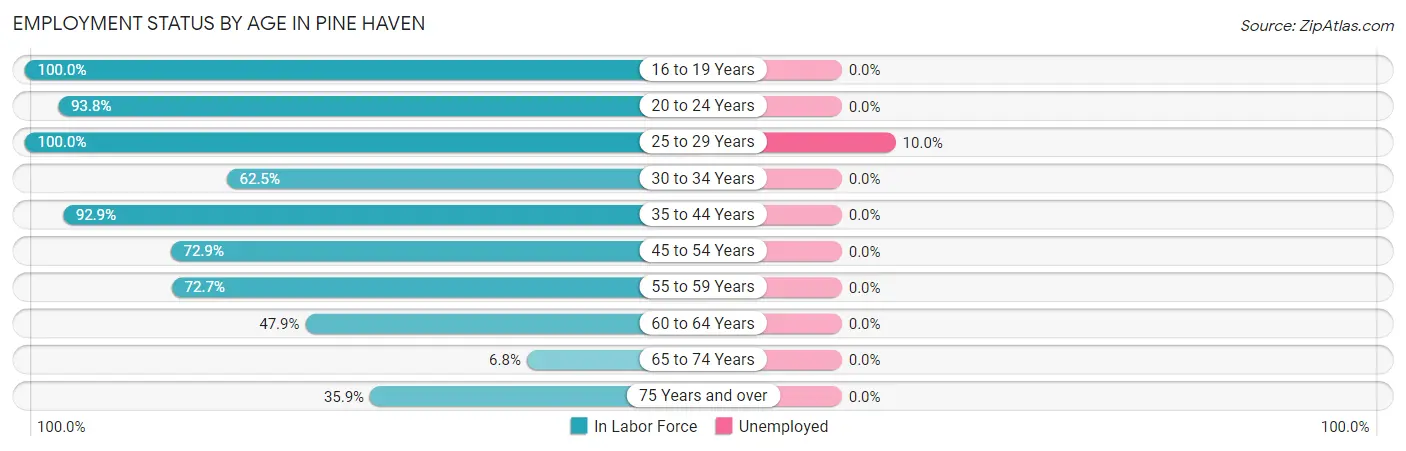 Employment Status by Age in Pine Haven