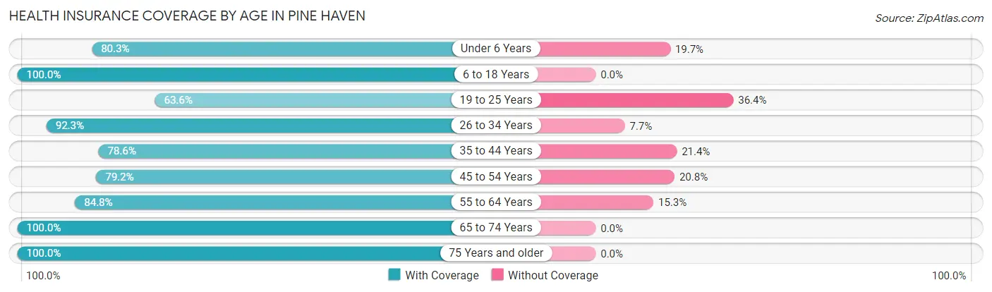 Health Insurance Coverage by Age in Pine Haven