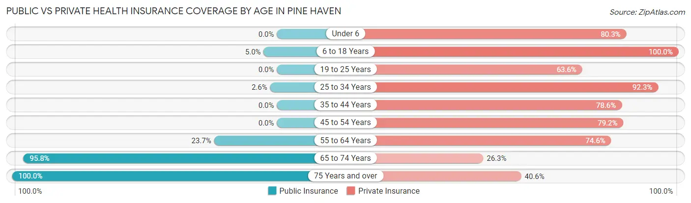 Public vs Private Health Insurance Coverage by Age in Pine Haven