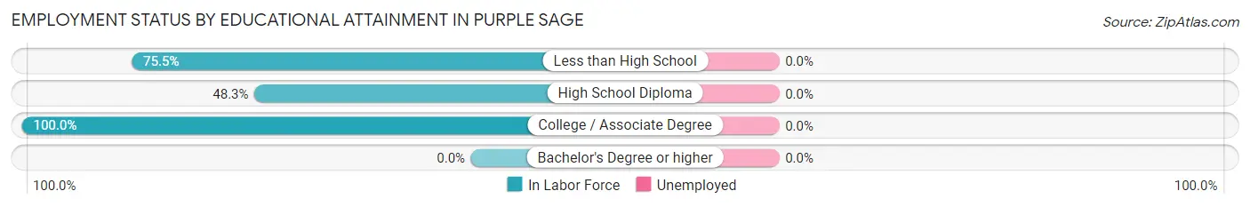 Employment Status by Educational Attainment in Purple Sage