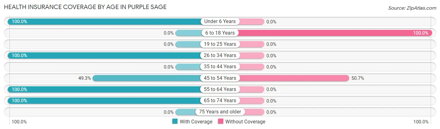 Health Insurance Coverage by Age in Purple Sage