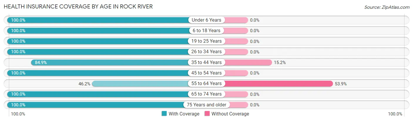 Health Insurance Coverage by Age in Rock River