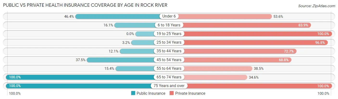 Public vs Private Health Insurance Coverage by Age in Rock River