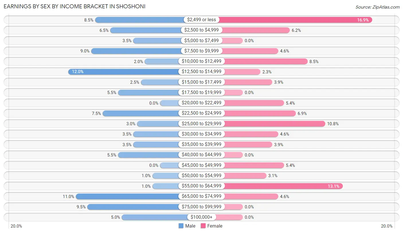 Earnings by Sex by Income Bracket in Shoshoni