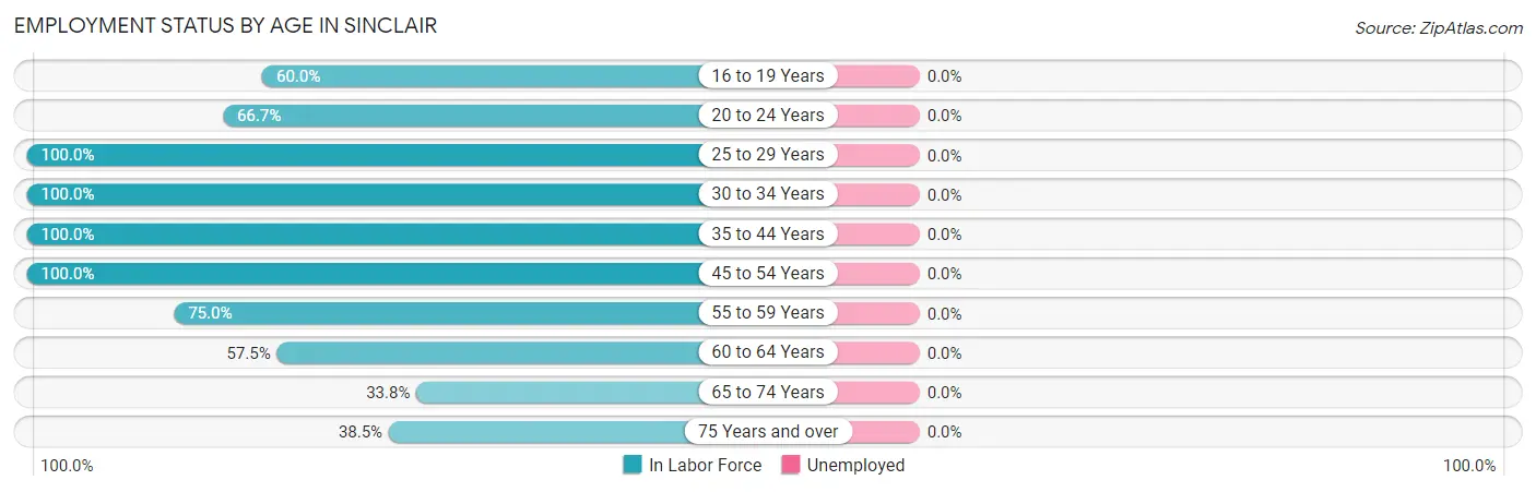 Employment Status by Age in Sinclair