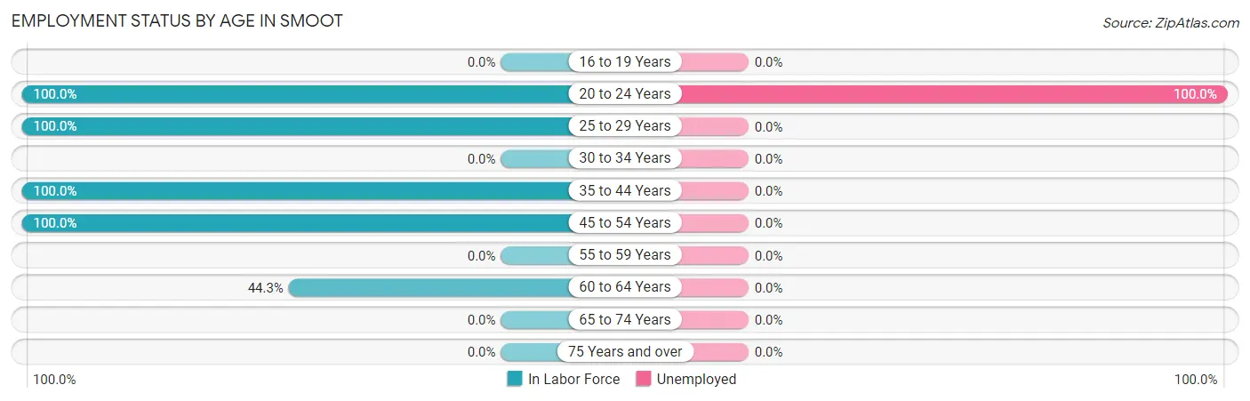 Employment Status by Age in Smoot