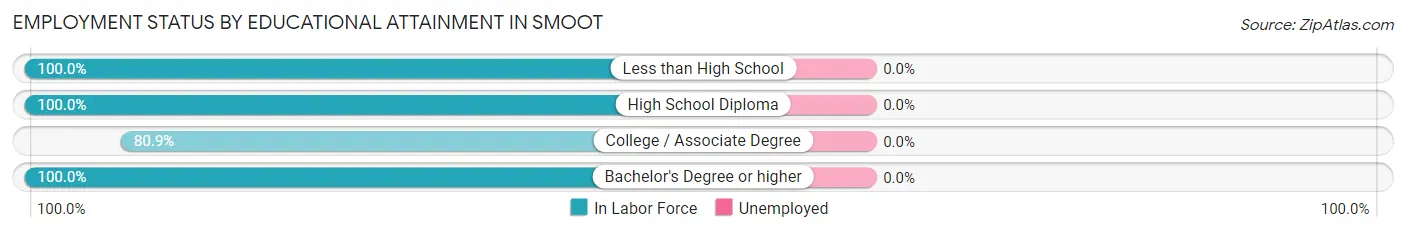 Employment Status by Educational Attainment in Smoot