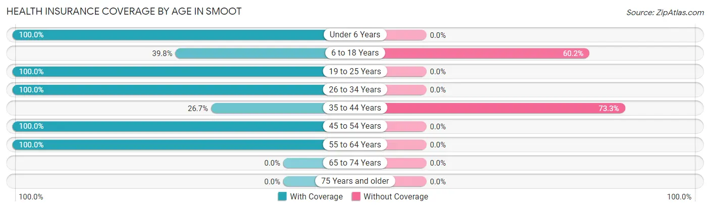 Health Insurance Coverage by Age in Smoot
