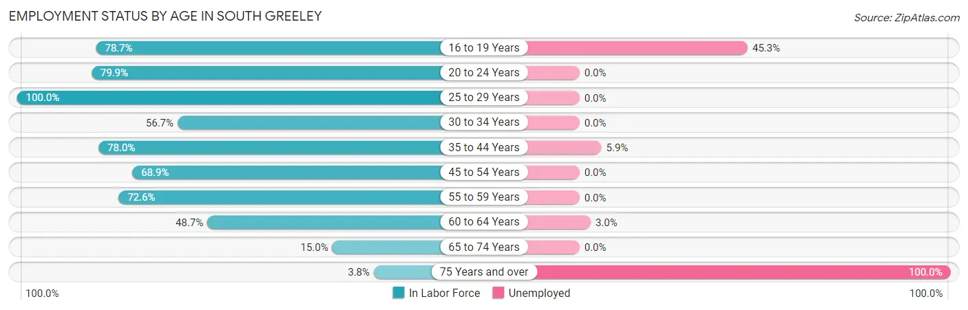 Employment Status by Age in South Greeley