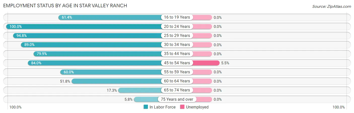 Employment Status by Age in Star Valley Ranch