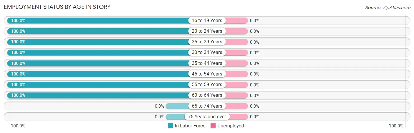 Employment Status by Age in Story