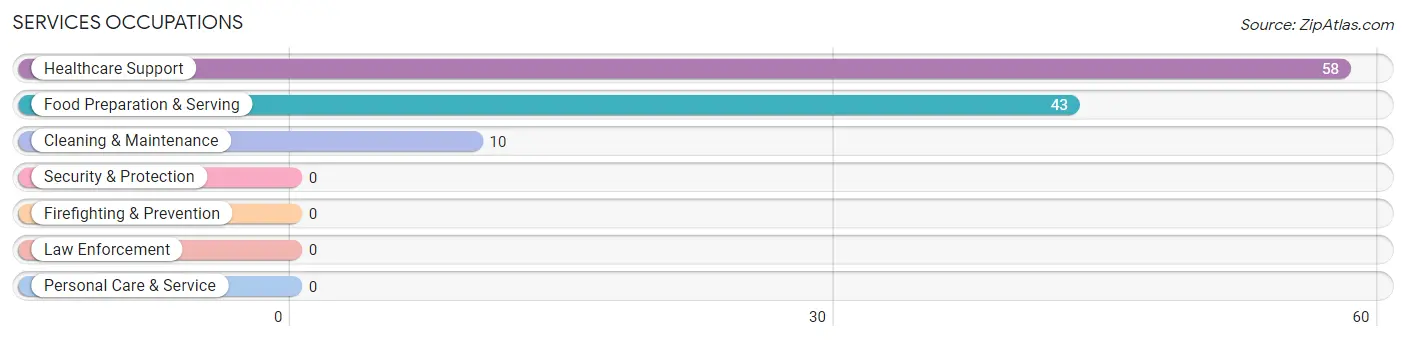 Services Occupations in Story